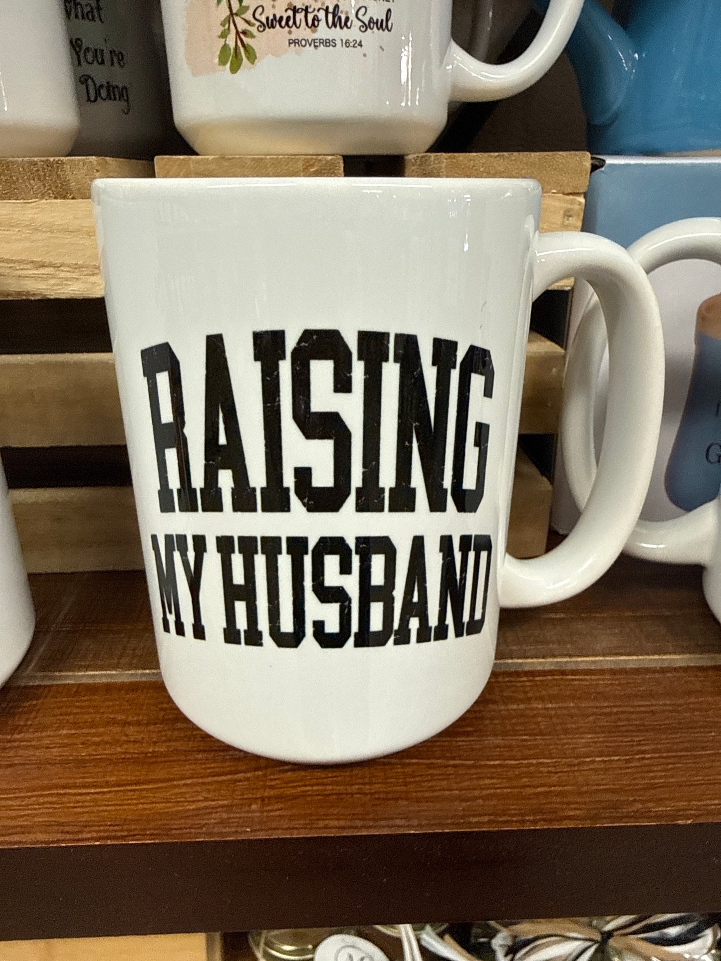 Raising My Husband Mug