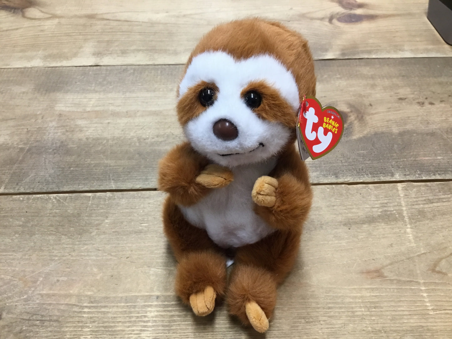 TY Beanie Babies “Stella” Sloth