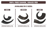 Premium Water Buffalo Horns - Medium