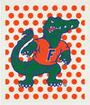 University of Florida 2 Swedish Cloth